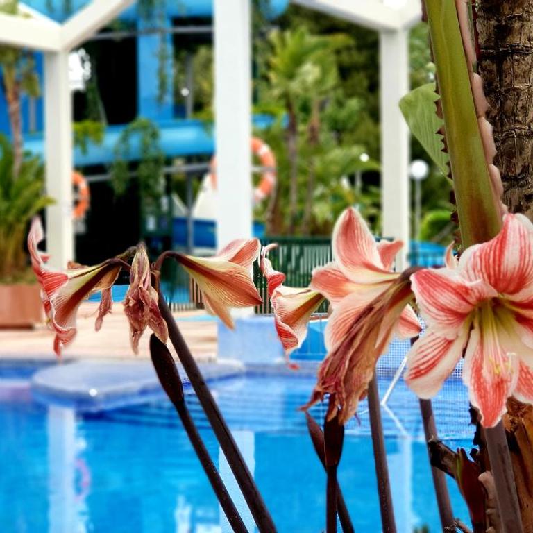 EL ESTUDIO DE LA PLAYA BENALBEACH Holidays Deluxe - Estudio Deluxe (2 adultos + 2 niños) - 67