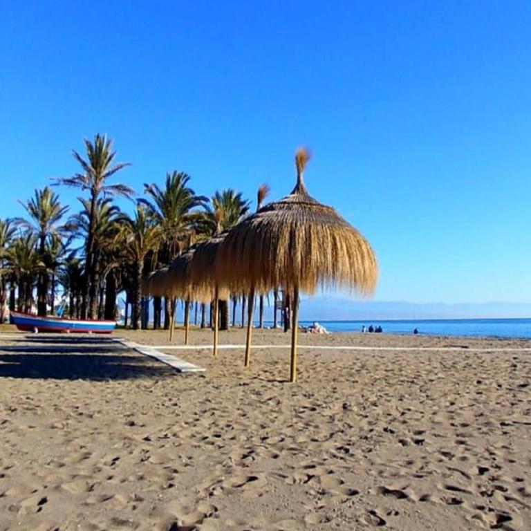 Bellamar - Apartamento - Planta baja - 6
