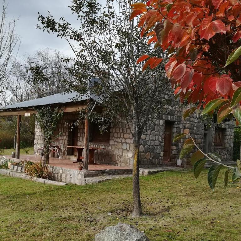 Cabañas Wasi Mayu - Casa Unifamiliar de 3 dormitorios - 2