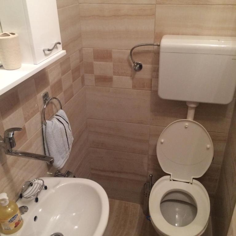 Apartments Aleksic - Studio (4 Odrasle Osobe) - 9