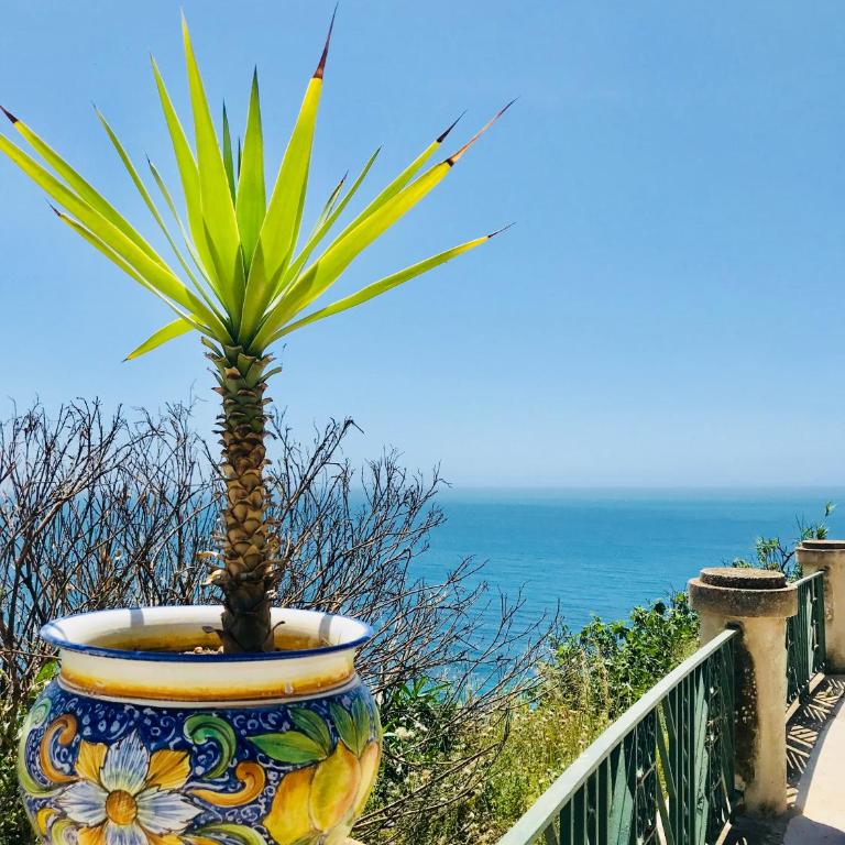 Casa Terme - One-Bedroom Apartment - 3