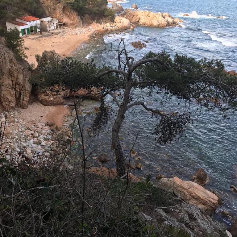 Apartamento recien reformado a 300 metros del mar - Apartamento - 39
