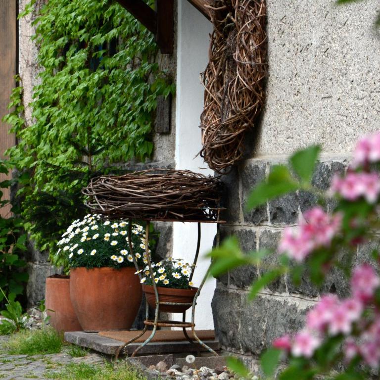 APARTMENT im garten 9 - Appartamento Superior - 19