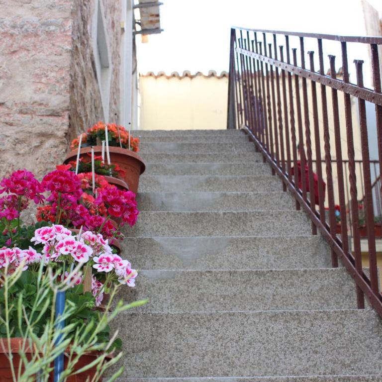 Dudić apartmani - Two-Bedroom Apartment - 34