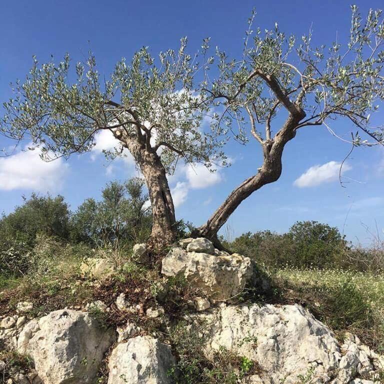 La Casetta - affitti brevi - Monolocale - 46