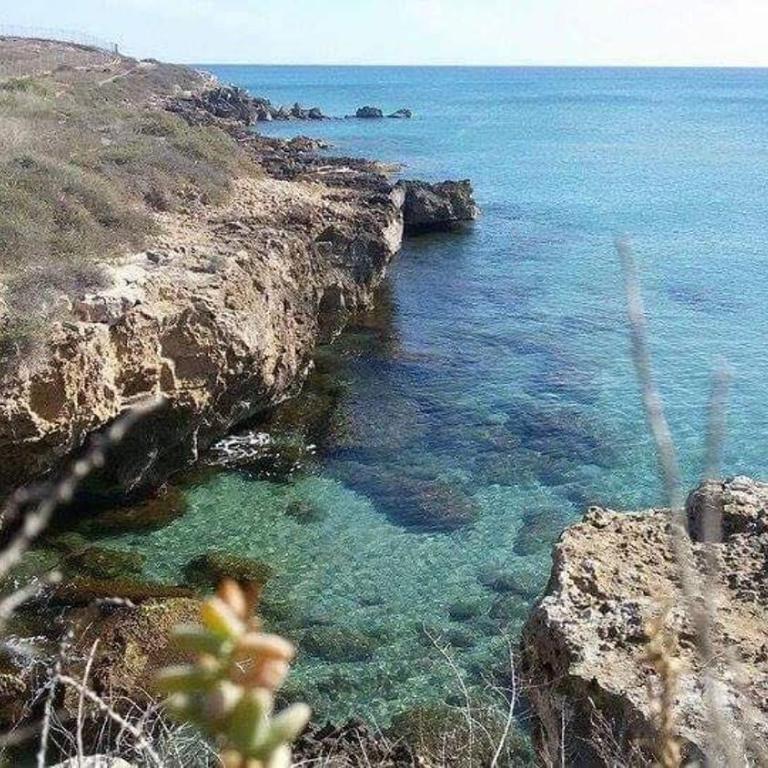La Casetta - affitti brevi - Monolocale - 63