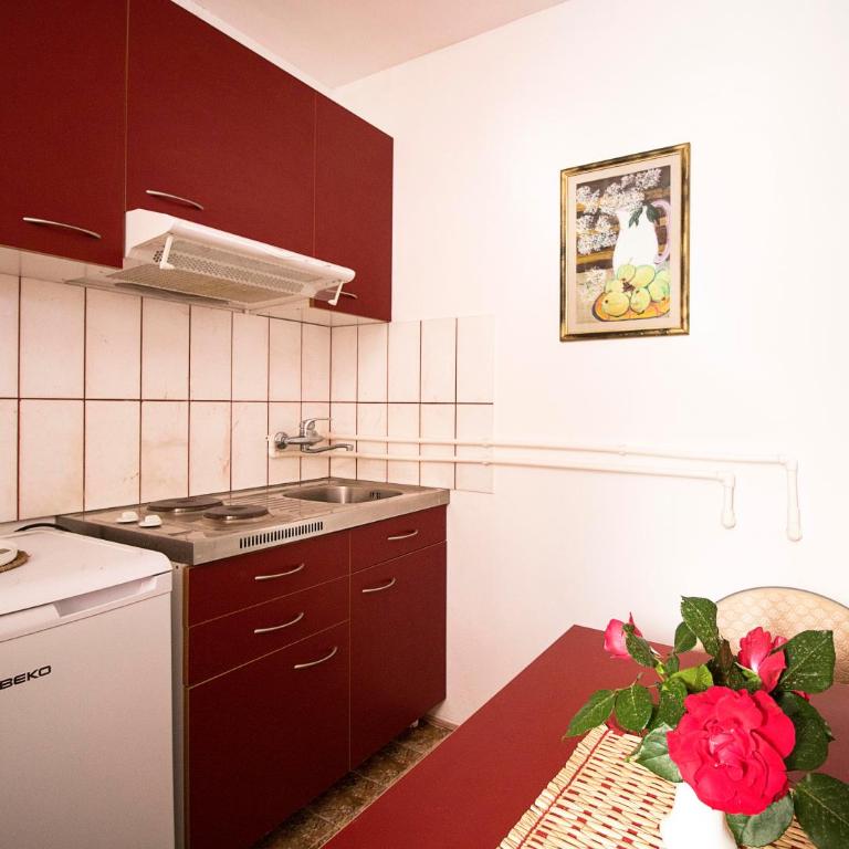 Apartmani Rakic - Apartman - Prizemlje - 6