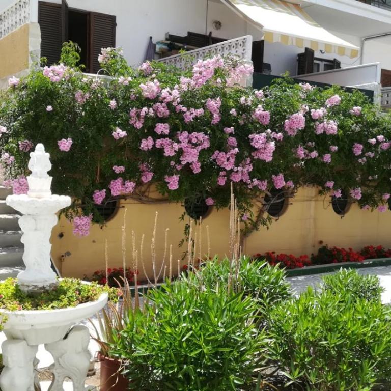 Tenerife Altamar Paradise - Apartamento - 2 niveles - 21
