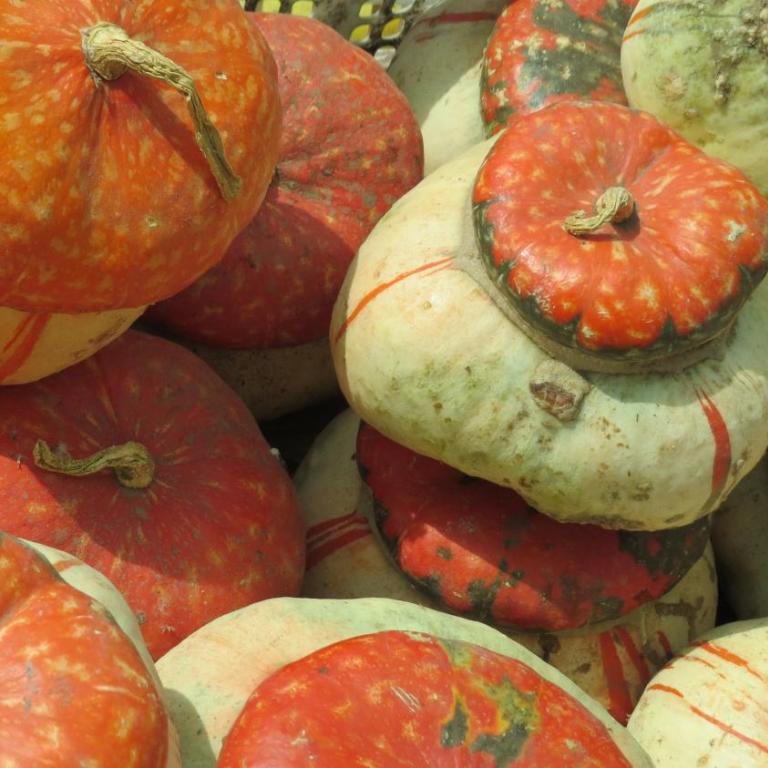 Cuatro Esquinas de Italia - Apartamento - 100