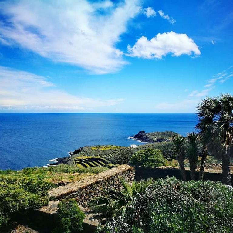 Dammuso Maestrale - Casa Vacanze - 1