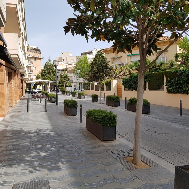 El Pescador Park Cozy Apartment - Apartamento - 48