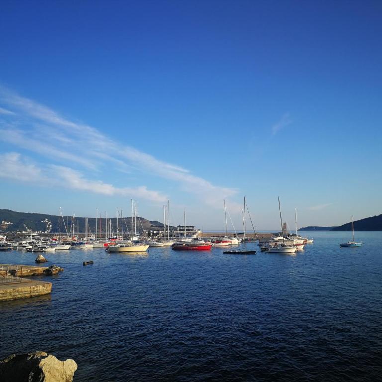 Apartments La Dolce Vita - Apartment with Balcony - 13