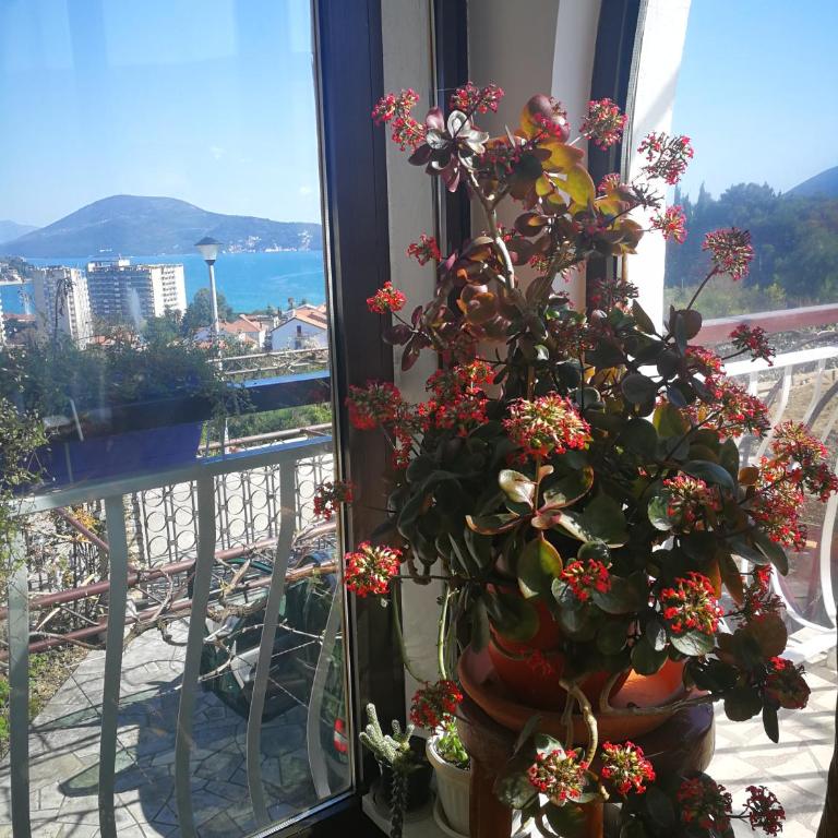 Apartments La Dolce Vita - Apartment with Balcony - 7