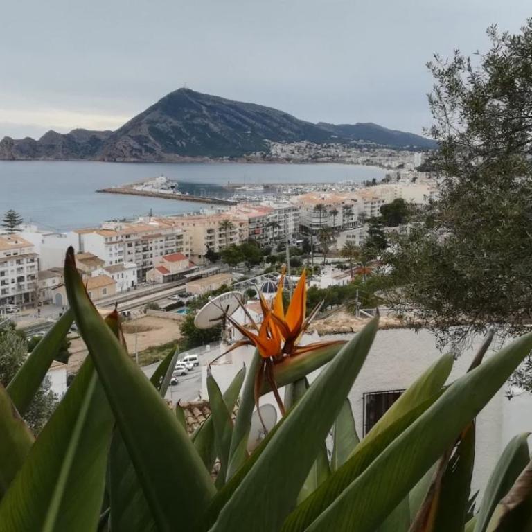 Casa Roberto Altea - Casa de 1 dormitorio con terraza - 38