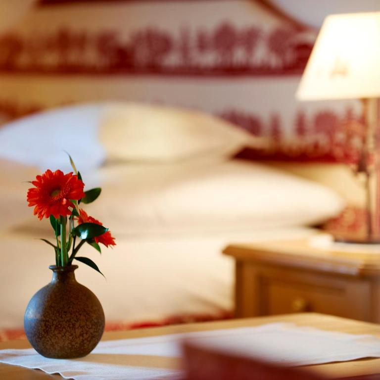 Alpenland - das feine Kleine, zentral und ruhig mit modernem Wellnessbereich - Junior Suite mit Balkon - 1