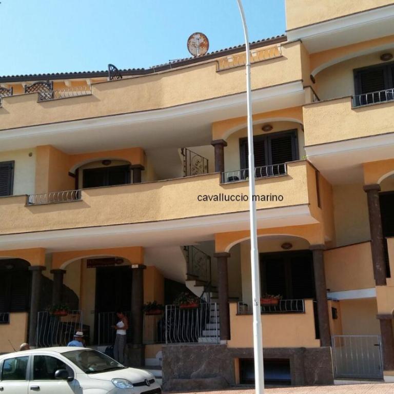 Cavalluccio Marino - Appartement 1 Chambre - Vue sur Mer - 19