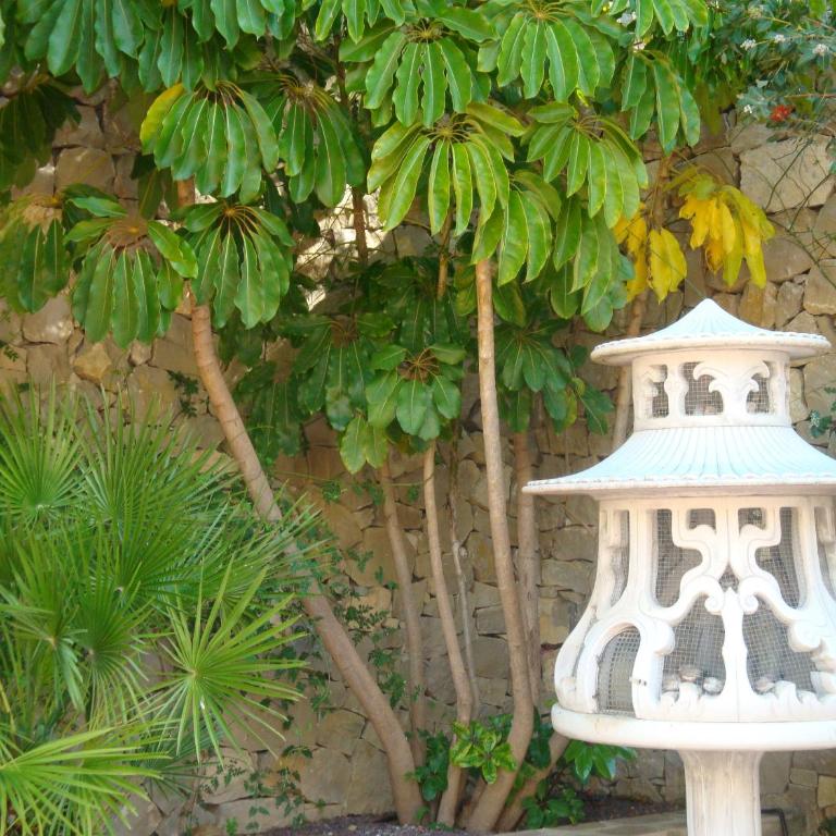 Villa Alegre Playa Calpe Grupo Terra de Mar, alojamientos con encanto - Villa Superior - 56