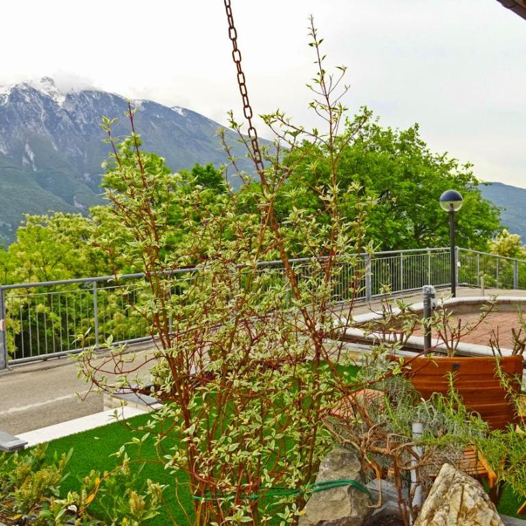 La Quiete 24 Lake view apartment by Gardadomusmea - Appartamento - Piano Terra - 18