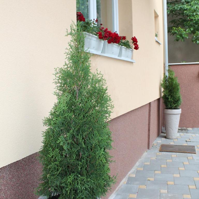 Royal Family - Studio Apartman - 2