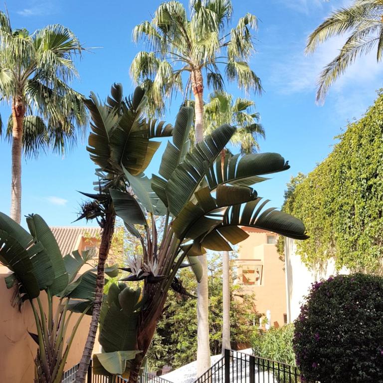 Ample Luxury Apart Fancy Marbella Golf & Padel - Apartamento Deluxe - 48