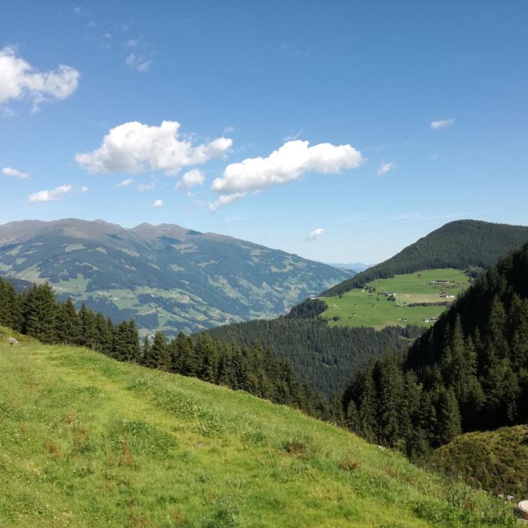 Apartment Bergblick - Apartment mit 3 Schlafzimmern - 42