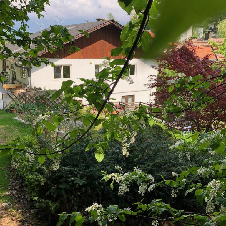Apartment Gisi - Apartment mit Blick auf die Berge - 46