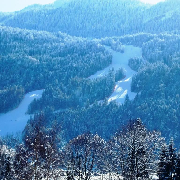Grainauer Hof - Doppelzimmer mit Bergblick - 4