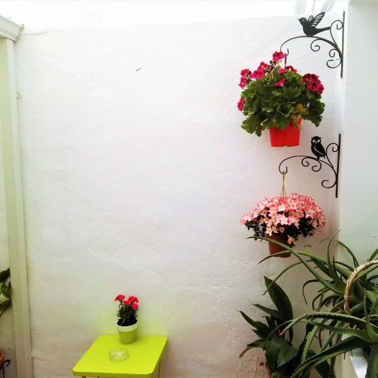 Apartamento La flor de Mayo - Apartamento - Planta baja - 17