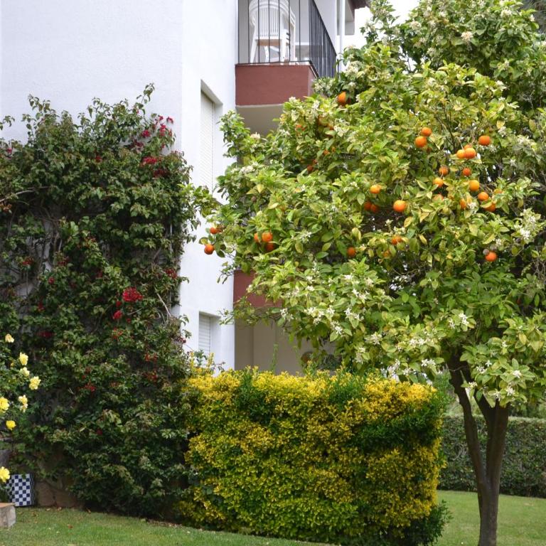 Apartamento recien reformado a 300 metros del mar - Apartamento - 23