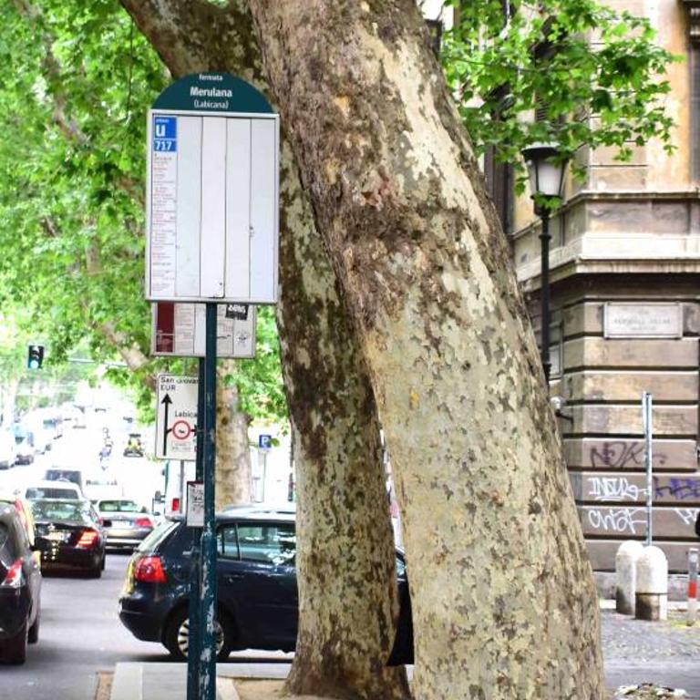 Le Rondini a Roma - Appartamento con 3 Camere da Letto - 43