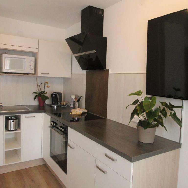 Ferienwohnung Appartment mit Privatbadestrand Kusternighof - Apartment mit Balkon - 9