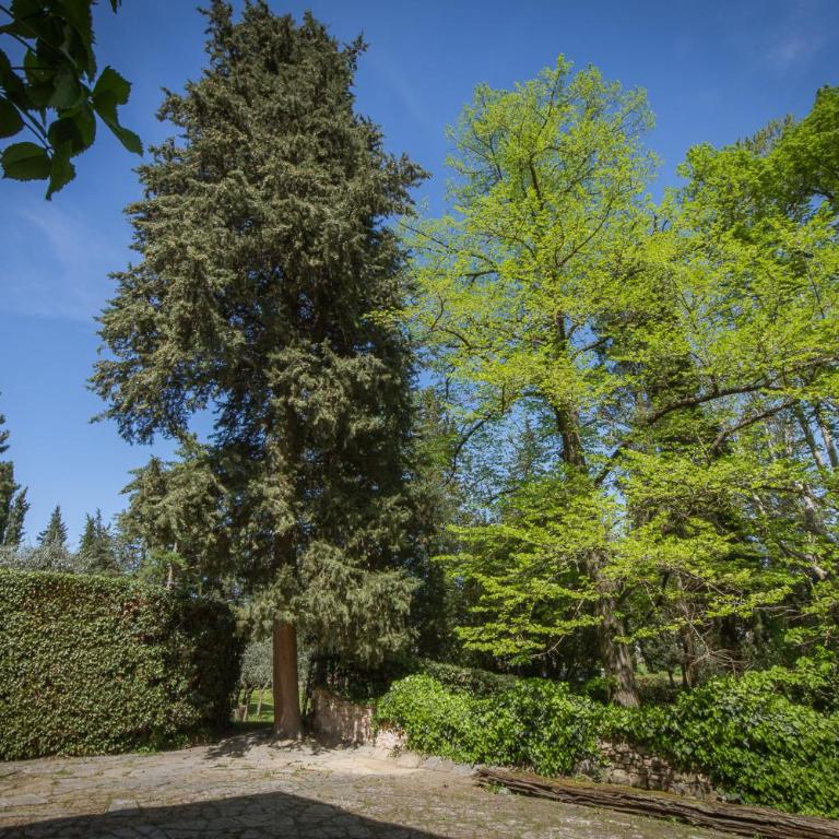 Villa in Private Estate,shared Pool,parking,3km to Ponte Vecchio - Villa - 18