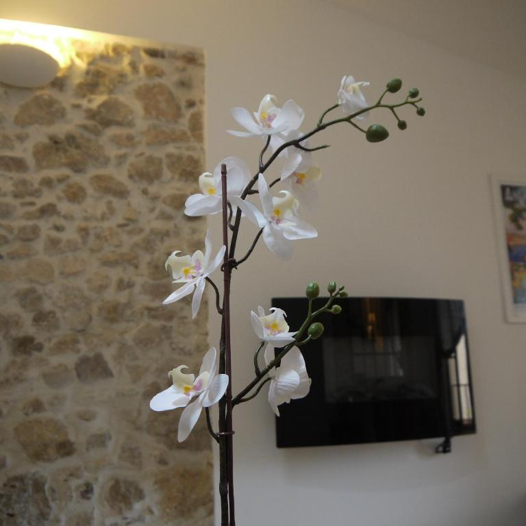 Vieille Ville 2 - La Petite Maison à Safranier, 2 bedrooms, max 4 adults and 2 kids - Maisonnette - 20