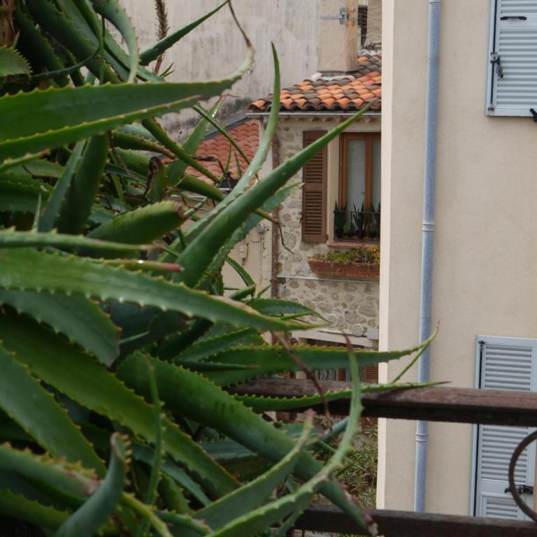 Vieille Ville 2 - La Petite Maison à Safranier, 2 bedrooms, max 4 adults and 2 kids - Maisonnette - 30