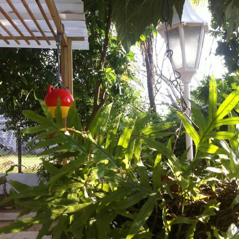 Hostal Casaluna San Andres - Estudio con terraza - 11