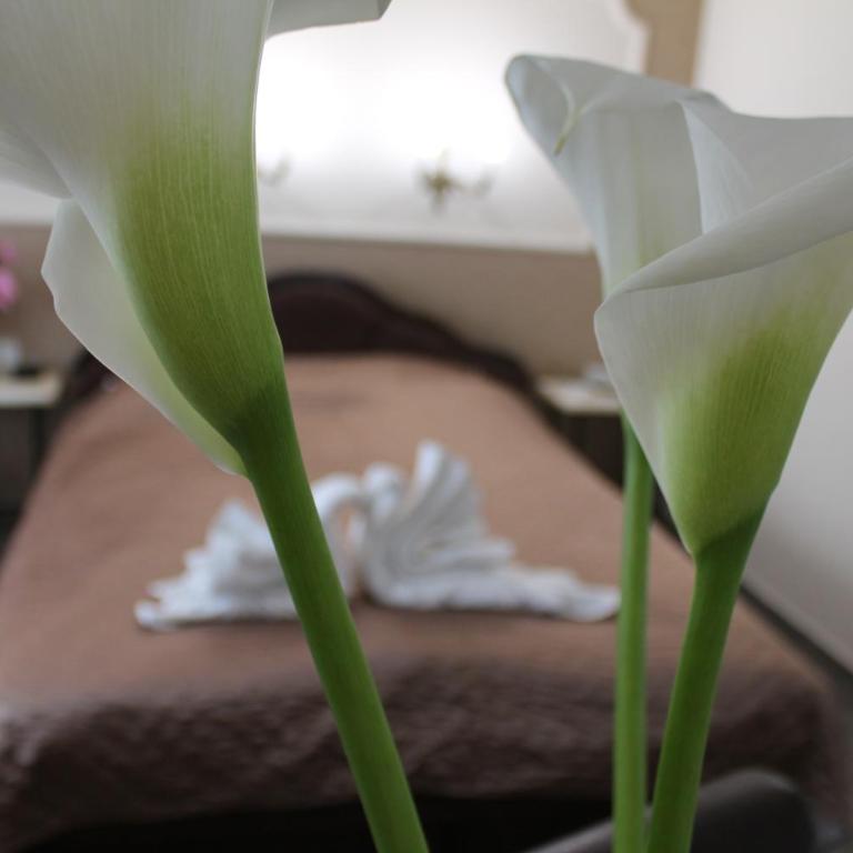 Royal Family - Studio Apartman - 8