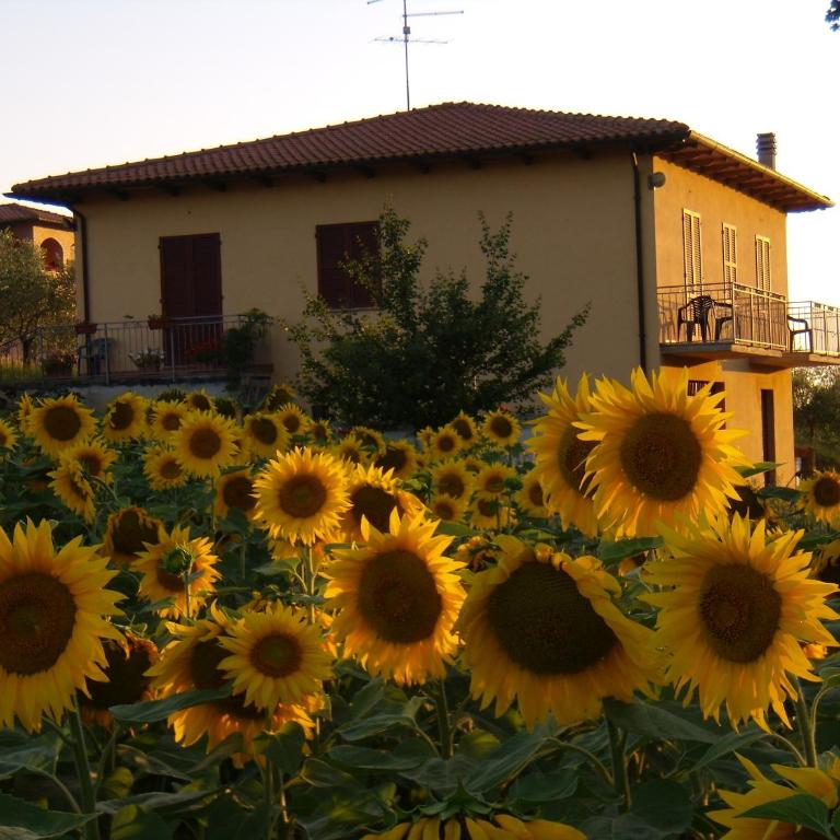 B&B Il Girasole - Rooms & House in country - air conditioned - 1500 meters from historic center - Casa con 3 Camere da Letto - 6