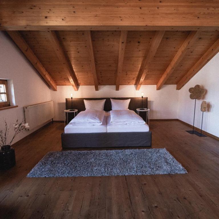 Der Löwe - Apartment mit Blick auf die Berge - 13