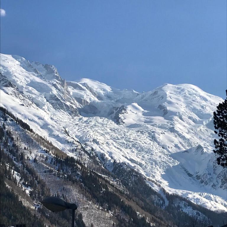 Appart'Hotel Aiguille Verte & Spa - Appartement 3 Chambres - 16