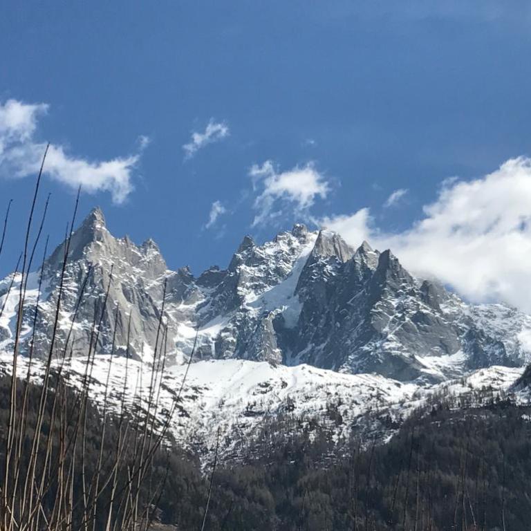 Appart'Hotel Aiguille Verte & Spa - Appartement 3 Chambres - 15
