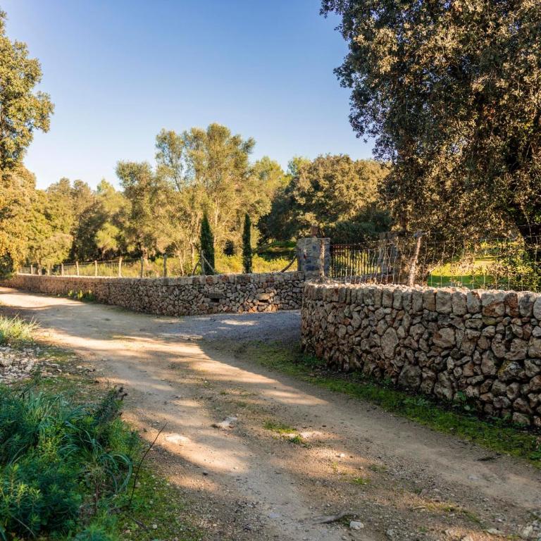 Mirador - idyllic countryside villa near Arta - Villa con piscina privada - 44