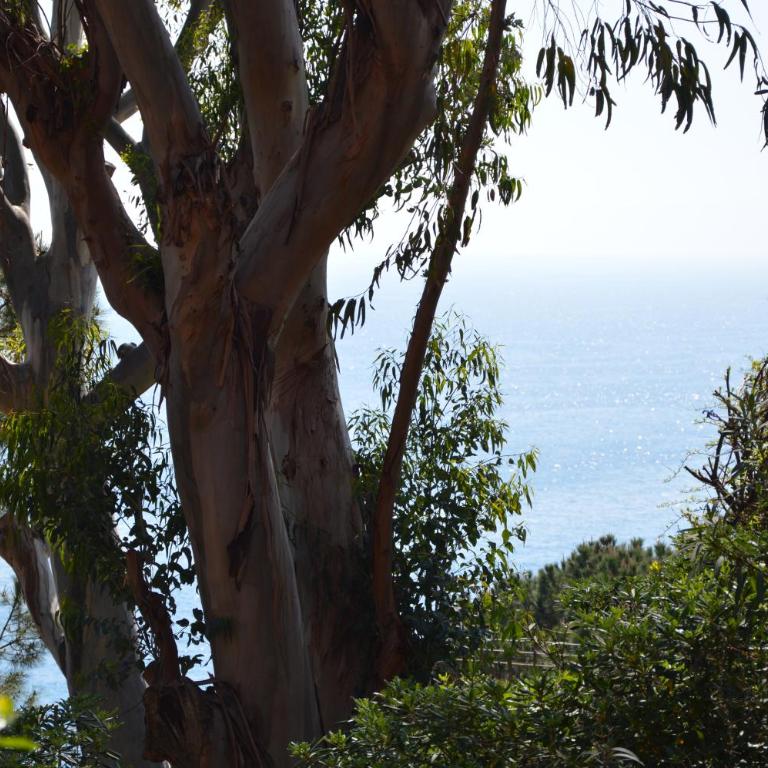 Casa delle mimose - Apartamento con vistas al mar - 23