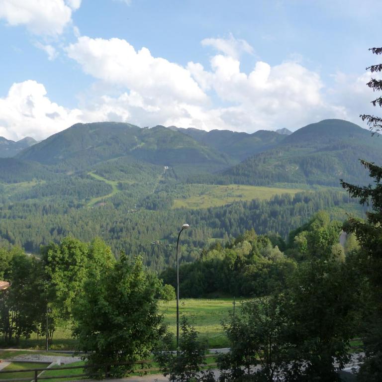 Cavalese luxury mountain and sky - Appartamento con 2 Camere da Letto (4 Adulti) - 21