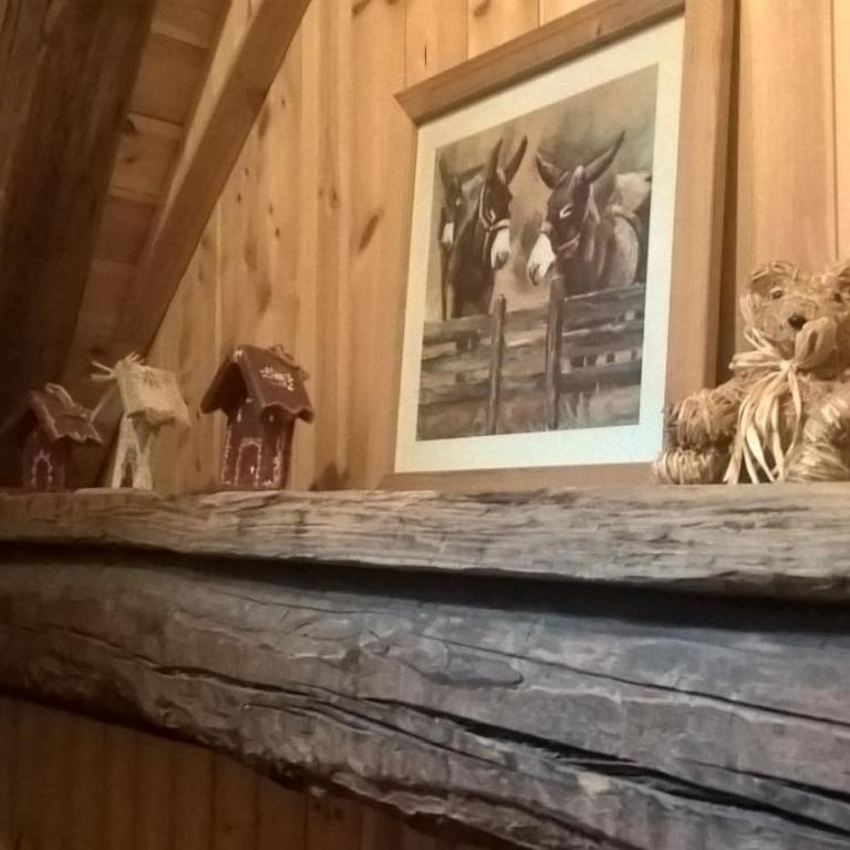 Gite Du Bois De L'ours - Suite Familiale - 4
