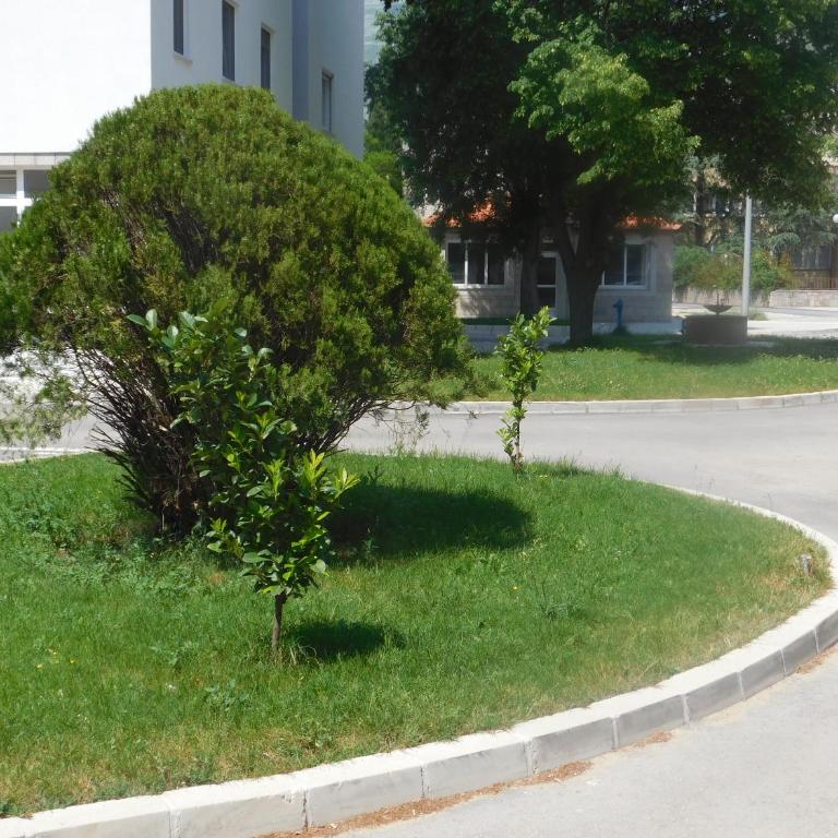 Stan - Apartment - 3