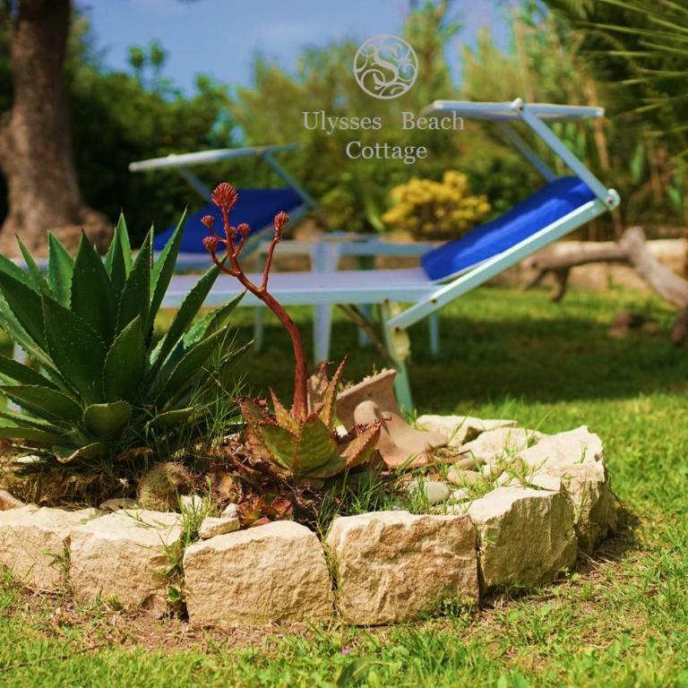 CASA con ACCESSO AL MARE - Apartment - 34