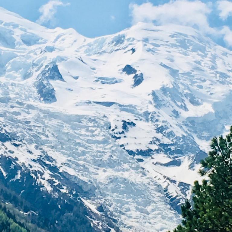 Appart'Hotel Aiguille Verte & Spa - Appartement 3 Chambres - 11
