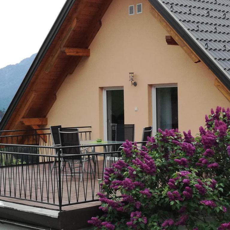 Haus Elvira - Apartment - 1