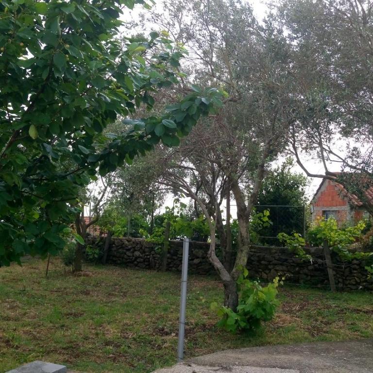 Poborska Villa - Villa with Sea View - 27