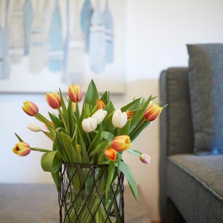 Boutique Appartments AlteGreißlerei - Apartment mit 1 Schlafzimmer - 2